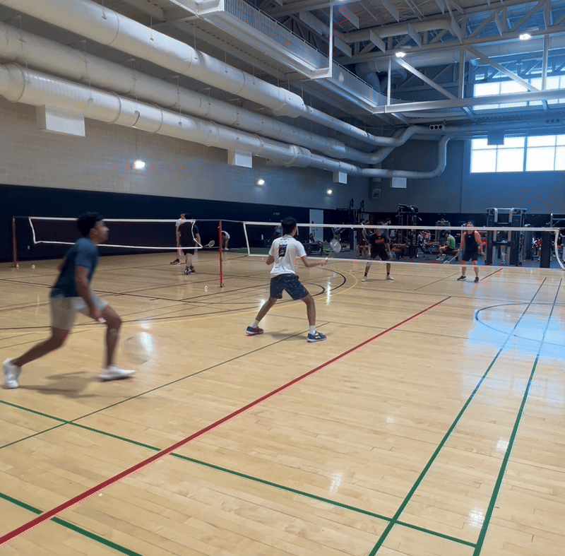 badminton_new.gif